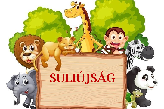 Sulijsg